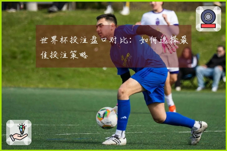 世界杯投注盘口对比：如何选择最佳投注策略