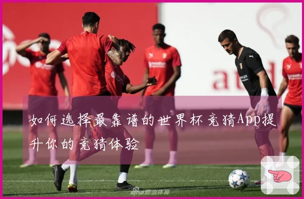 如何选择最靠谱的世界杯竞猜App提升你的竞猜体验