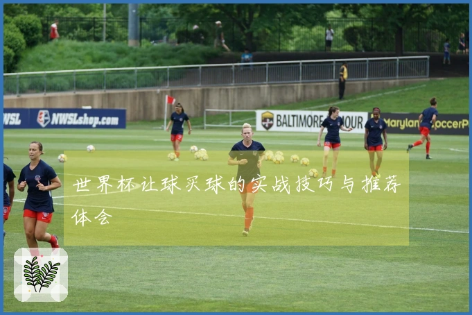 世界杯让球买球的实战技巧与推荐体会
