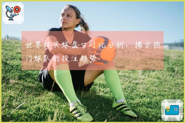 世界杯买球盘口对比分析，揭示热门球队的投注趋势