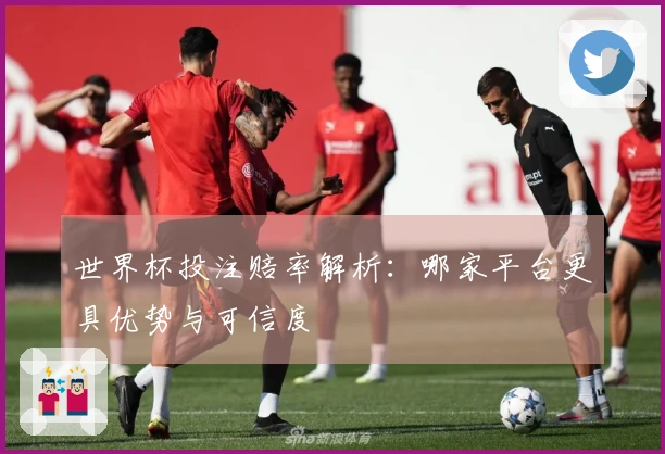 世界杯投注赔率解析：哪家平台更具优势与可信度