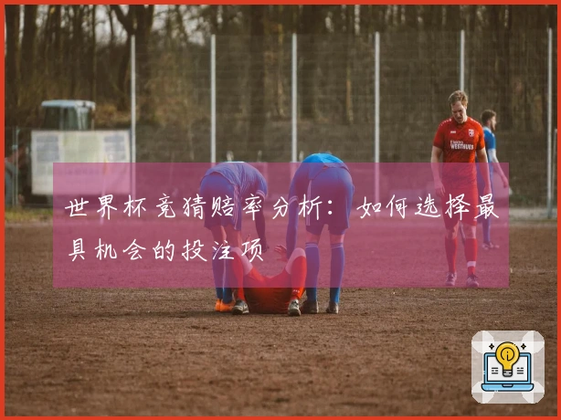 世界杯竞猜赔率分析：如何选择最具机会的投注项
