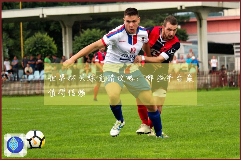 世界杯买球竞猜攻略，哪些平台最值得信赖
