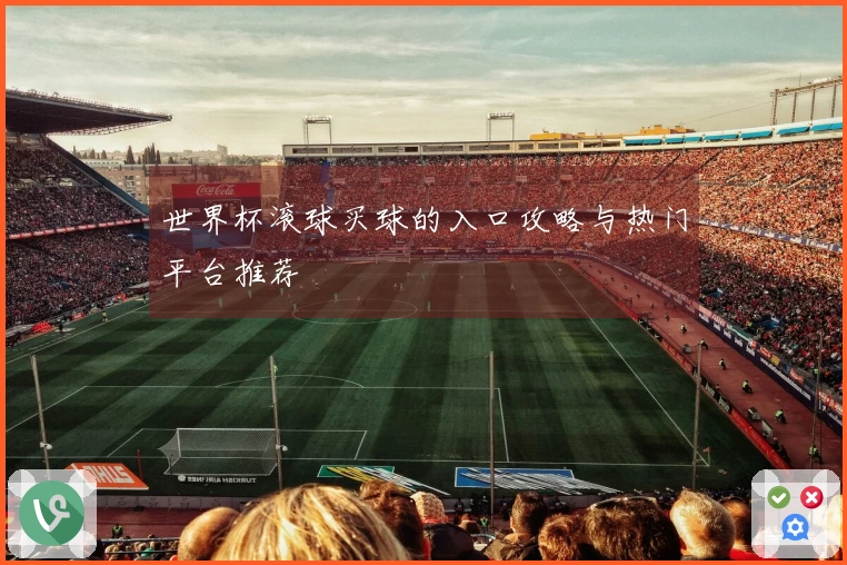 世界杯滚球买球的入口攻略与热门平台推荐