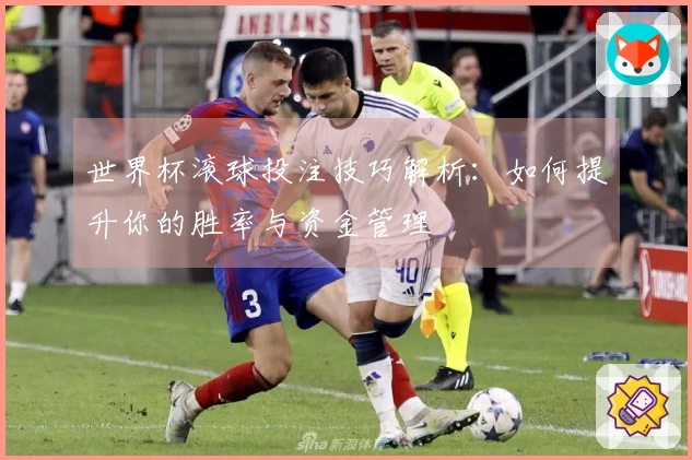 世界杯滚球投注技巧解析：如何提升你的胜率与资金管理