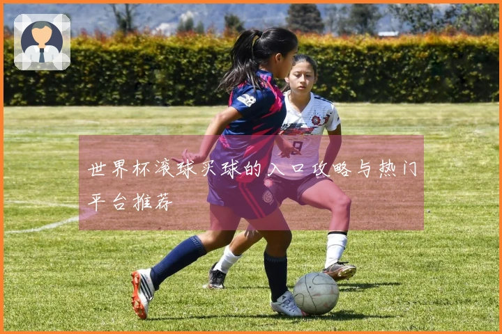 世界杯滚球买球的入口攻略与热门平台推荐