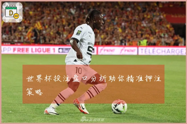 世界杯投注盘口分析助你精准押注策略