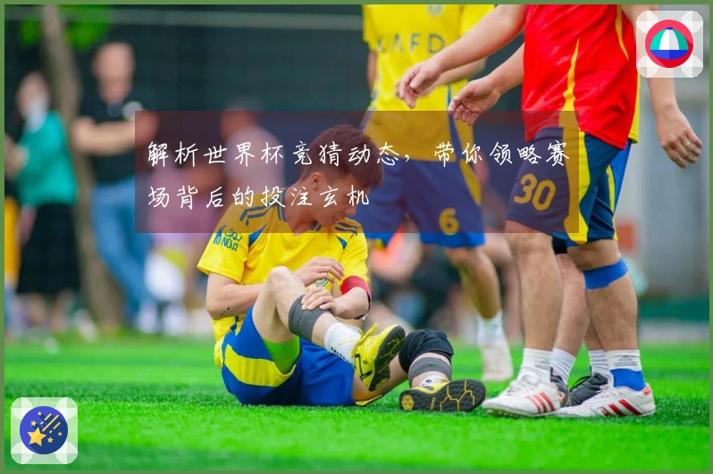 解析世界杯竞猜动态，带你领略赛场背后的投注玄机